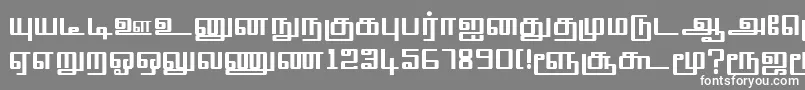 フォントTmlSquarePlain – 灰色の背景に白い文字