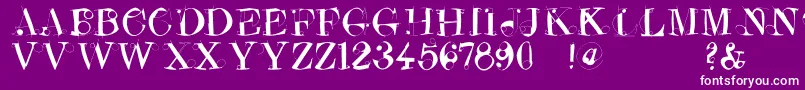 Crazyconstructor Font – White Fonts on Purple Background