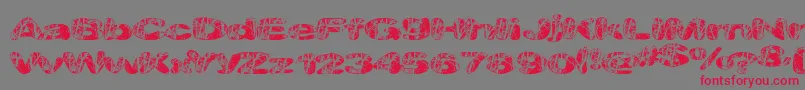 Majorveins Font – Red Fonts on Gray Background