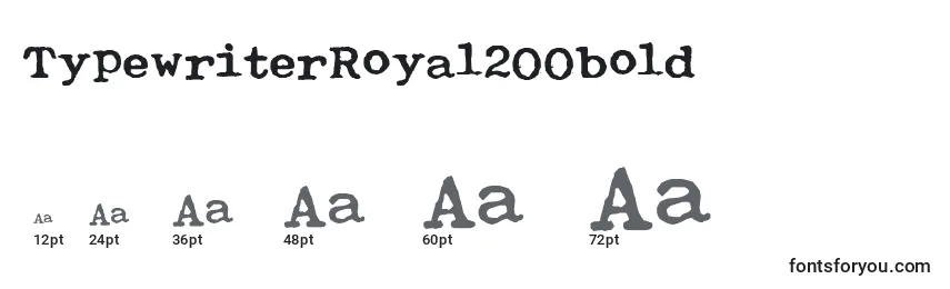 Размеры шрифта TypewriterRoyal200bold