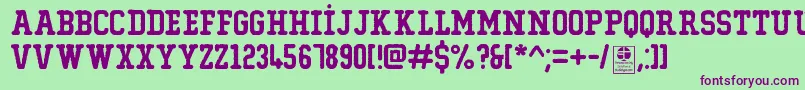 TypoCollegeErodedDemo Font – Purple Fonts on Green Background