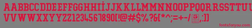 TypoCollegeErodedDemo-Schriftart – Rote Schriften auf grauem Hintergrund