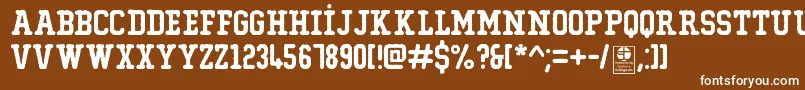 TypoCollegeErodedDemo Font – White Fonts on Brown Background