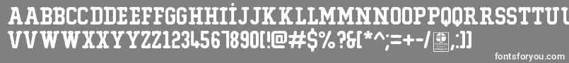 TypoCollegeErodedDemo Font – White Fonts on Gray Background