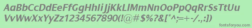 DialogBolditalic Font – Gray Fonts on Green Background