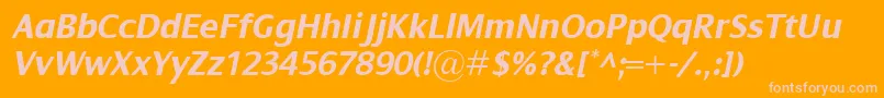 DialogBolditalic Font – Pink Fonts on Orange Background