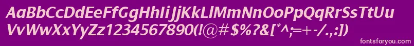 DialogBolditalic Font – Pink Fonts on Purple Background
