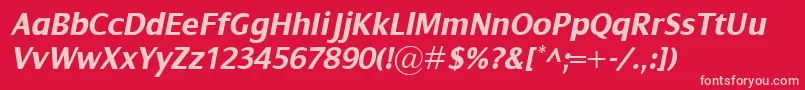 DialogBolditalic Font – Pink Fonts on Red Background