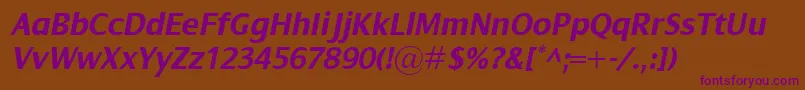 DialogBolditalic Font – Purple Fonts on Brown Background