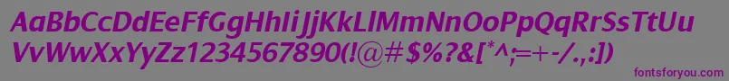 DialogBolditalic Font – Purple Fonts on Gray Background