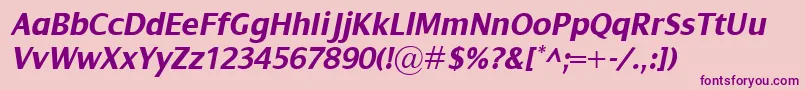 DialogBolditalic Font – Purple Fonts on Pink Background
