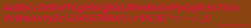 DialogBolditalic Font – Red Fonts on Brown Background