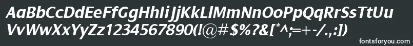 DialogBolditalic Font – White Fonts