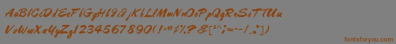 HolidayBestMedium Font – Brown Fonts on Gray Background
