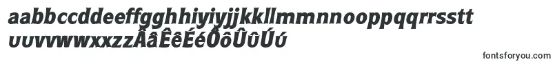 Шрифт RoundestlhBoldItalic – фризские шрифты
