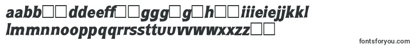 RoundestlhBoldItalic Font – Maltese Fonts