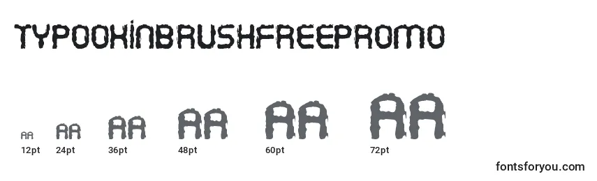 Размеры шрифта TypoOxinBrushFreePromo