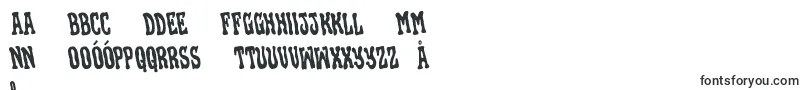 Blackgunkrotate Font – Polish Fonts