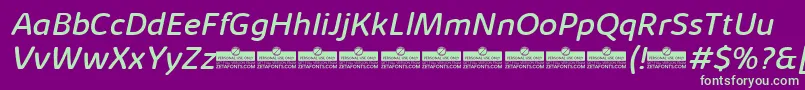 KabrioSoftRegularItalicTrial Font – Green Fonts on Purple Background