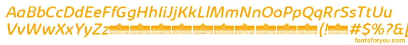 KabrioSoftRegularItalicTrial Font – Orange Fonts on White Background