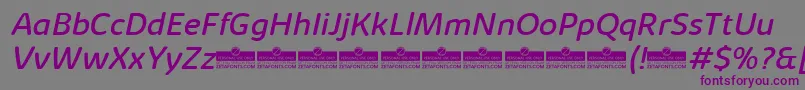 KabrioSoftRegularItalicTrial Font – Purple Fonts on Gray Background