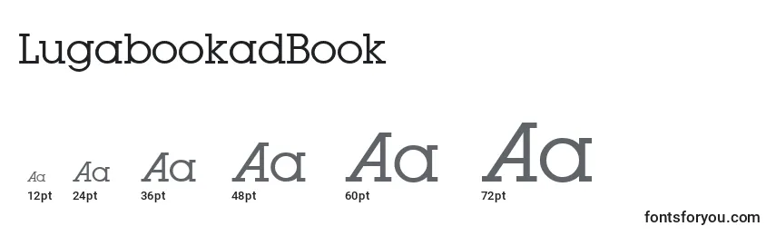 Размеры шрифта LugabookadBook