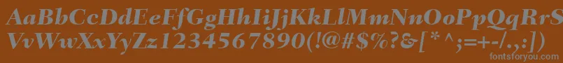 More about FairfieldLt86HeavyItalic Font FairfieldLt86HeavyItalic Font – Gray Fonts on Brown Background