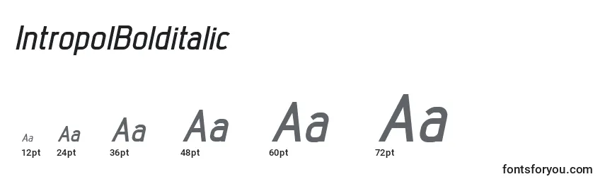 IntropolBolditalic Font Sizes