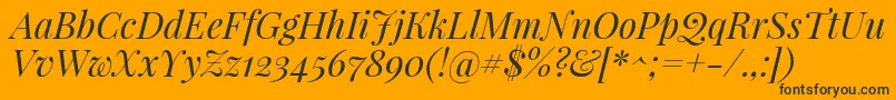 PlayfairdisplayItalic Font – Black Fonts on Orange Background