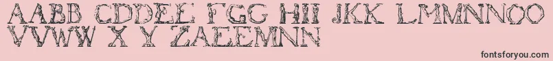 フォントFlotner – ピンクの背景に黒い文字