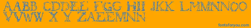 Flotner-fontti – siniset fontit oranssilla taustalla