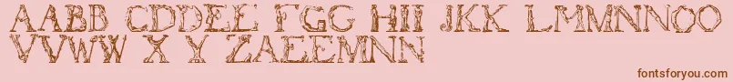 Flotner-Schriftart – Braune Schriften auf rosa Hintergrund