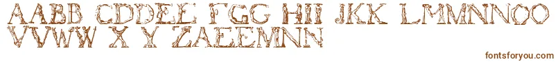 Flotner-fontti – ruskeat fontit valkoisella taustalla