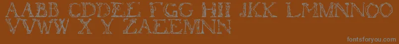 Czcionka Flotner – szare czcionki na brązowym tle