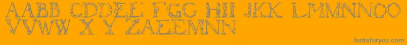 Flotner-fontti – harmaat kirjasimet oranssilla taustalla