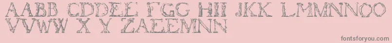 Flotner-fontti – harmaat kirjasimet vaaleanpunaisella taustalla