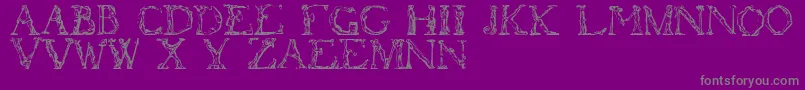 Flotner-fontti – harmaat kirjasimet violetilla taustalla