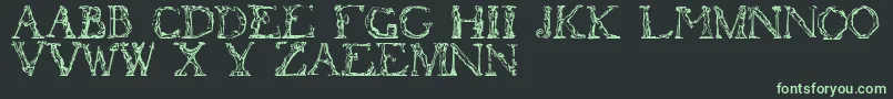 Flotner Font – Green Fonts on Black Background