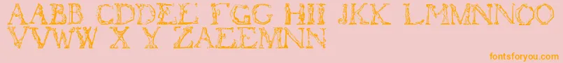 Flotner-Schriftart – Orangefarbene Schriften auf rosa Hintergrund