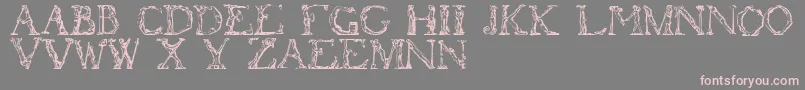 Flotner-Schriftart – Rosa Schriften auf grauem Hintergrund