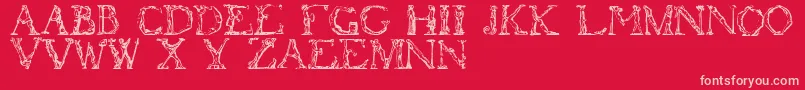 Flotner Font – Pink Fonts on Red Background