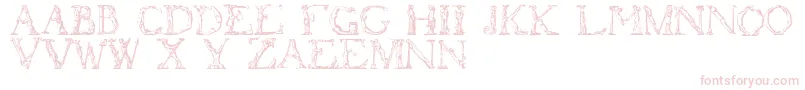 Шрифт Flotner – розовые шрифты