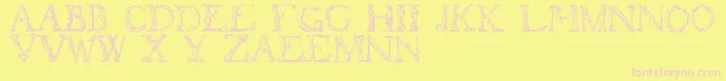 フォントFlotner – ピンクのフォント、黄色の背景