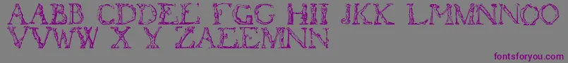 フォントFlotner – 紫色のフォント、灰色の背景