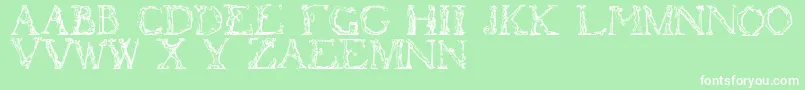 Flotner-Schriftart – Weiße Schriften auf grünem Hintergrund