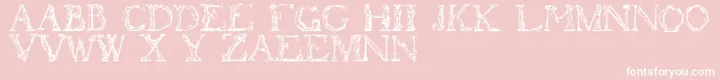 フォントFlotner – ピンクの背景に白い文字