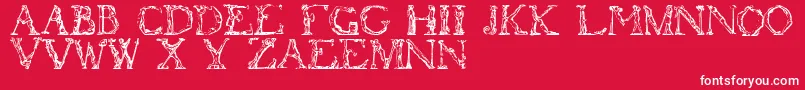 Flotner-fontti – valkoiset fontit punaisella taustalla