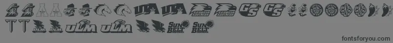 フォントSunBelt – 黒い文字の灰色の背景