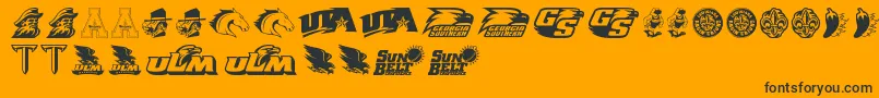 SunBelt Font – Black Fonts on Orange Background