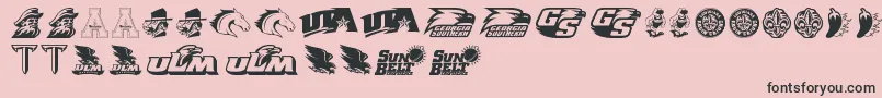 フォントSunBelt – ピンクの背景に黒い文字